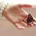 Debbie Whaley Photo 17