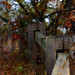 Joe Hurst Photo 46
