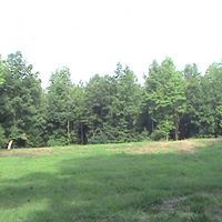Annette Howell Photo 16