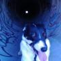 Daisy Jackson Photo 37