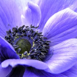 Beth Bell Photo 14