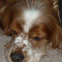 Celia Worrell Photo 1