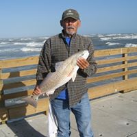 Fred Ellis Photo 9