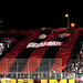 Felipe Oliveira Photo 16