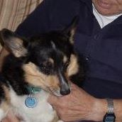 Helen Myers Photo 29