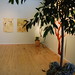 David Sierra Photo 10