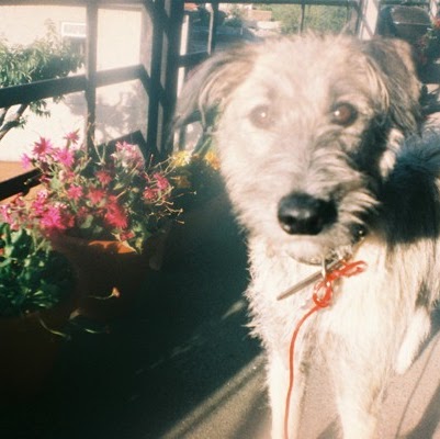 Debbie Rigby Photo 12