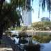 Liang Ma Photo 31
