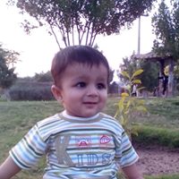 Hammad Ahmad Photo 12