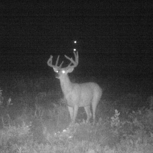 Charles Carlson Photo 27