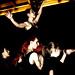 Lisa Sinclair Photo 10