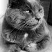 Winifred Gray Photo 12