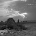 Bruce Stone Photo 14