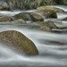 Lynn Waters Photo 11