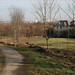 Gus Singleton Photo 11