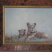 Shirley Howes Photo 8