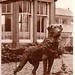Susan Chalmers Photo 39