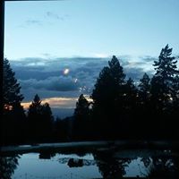 Carole Anderson Photo 31