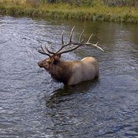 Jason Dickens Photo 18