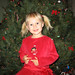 Douglas Reese Photo 25