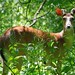 Holly Buck Photo 6