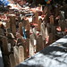 Deborah Spitzer Photo 10