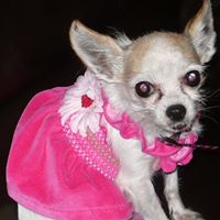 Vickie Kruse Photo 6