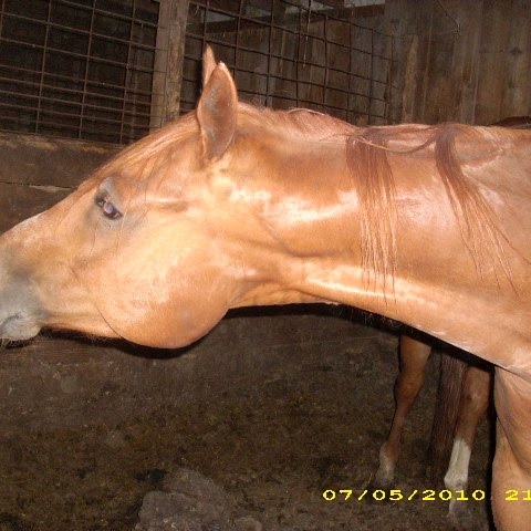 Kristie Hall Photo 10