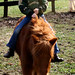 Grace Short Photo 22