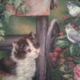 Margaret Weston Photo 28