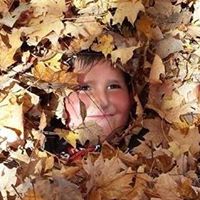 Trisha Linville Photo 4