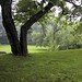 Lawrence Locke Photo 18