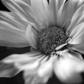 Rachel Conners Photo 8