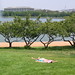 Summer Griffin Photo 15