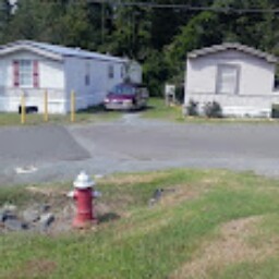Willie Cook Photo 13
