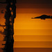 Annette Meyers Photo 15
