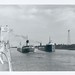 Homer Williams Photo 28