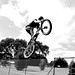 Dale Turk Photo 7
