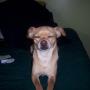 Jolene Jones Photo 45