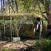 Rodney Camp Photo 15