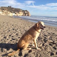 Bonnie Burt Photo 11