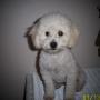 Sheila Doty Photo 13