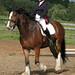 Susanne Becker Photo 8
