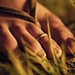 Elizabeth Ring Photo 17