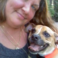 Debra Wiles Photo 8