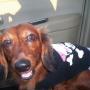Donna Martin Photo 5