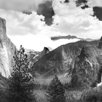 Mark Weber Photo 19