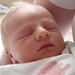 James Rowan Photo 12