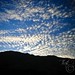 Nanette King Photo 15