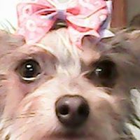 Christina Fernandez Photo 31
